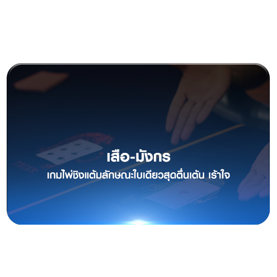เสือมังกร เสือ-มังกร TS911 เสือมังกร เสือ-มังกร TS911