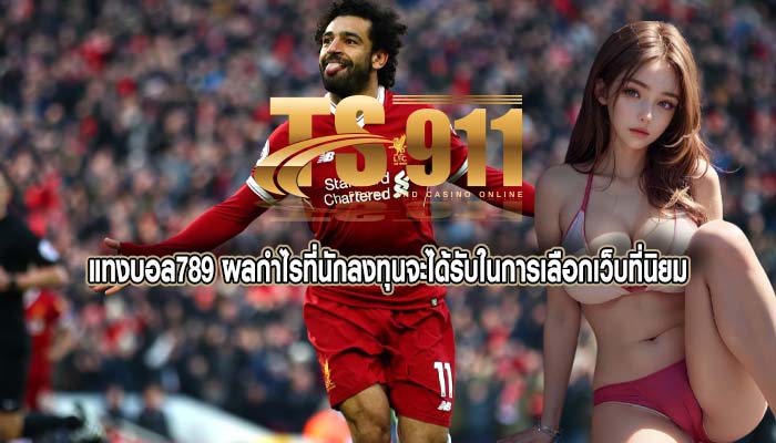 แทงบอล789 ผลกำไรที่นักลงทุนจะได้รับในการเลือกเว็บที่นิยม