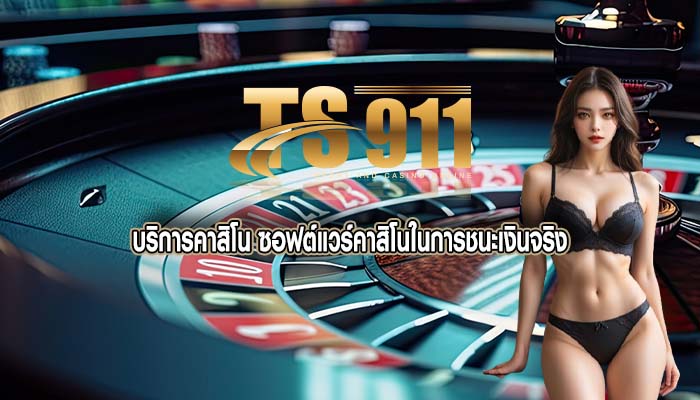 บริการคาสิโน ซอฟต์แวร์คาสิโนในการชนะเงินจริง