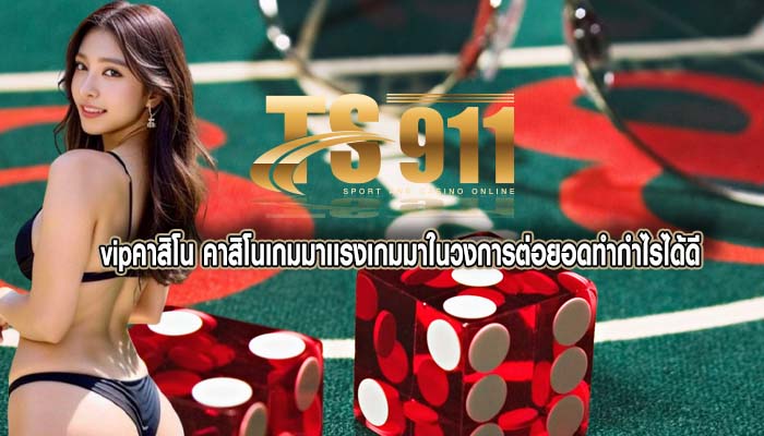 vipคาสิโน คาสิโนเกมมาเเรงเกมมาในวงการต่อยอดทำกำไรได้ดี